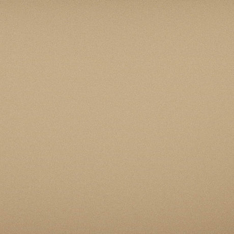 Tempotest Home Classic Biscotti 52/15 Foundations Collection Upholstery Fabric