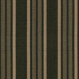 Tempotest Home Costa Cypress 52019-7 Pillars Collection Upholstery Fabric