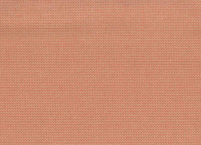 Tempotest Home Maestro Blush 51671/8 Bel Mondo Collection Upholstery Fabric - Outdoor Textiles