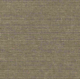 Tempotest Home Sand Bark 1041/14 Foundations Collection Upholstery Fabric