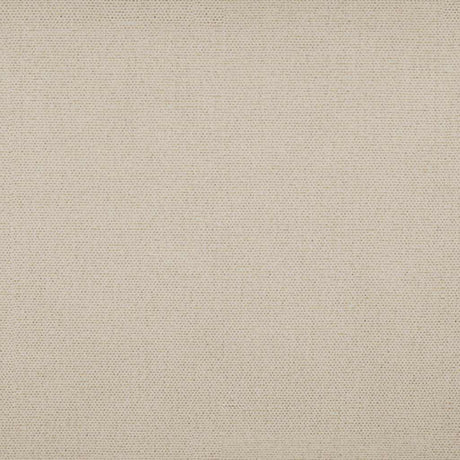Tempotest Home Raffaello Parchment 50965/1 Foundations Collection Upholstery Fabric