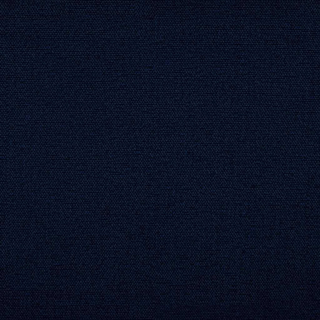 Sample of Tempotest Home Raffaello Navy 50965/18 Foundations Collection Upholstery Fabric