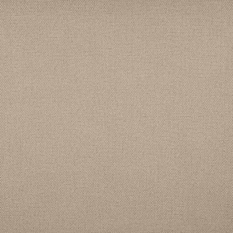 Sample of Tempotest Home Raffaello Latte 50965/2 Foundations Collection Upholstery Fabric