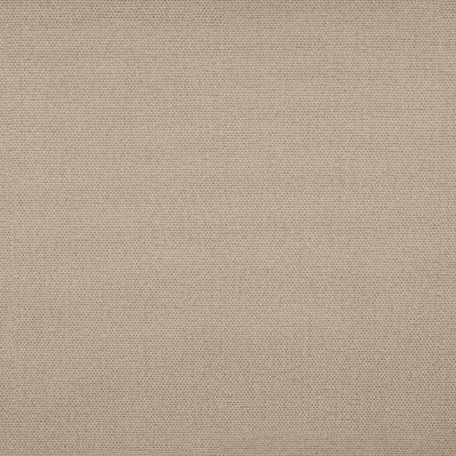 Sample of Tempotest Home Raffaello Latte 50965/2 Foundations Collection Upholstery Fabric
