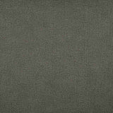 Sample of Tempotest Home Raffaello Charcoal 50965/8 Foundations Collection Upholstery Fabric