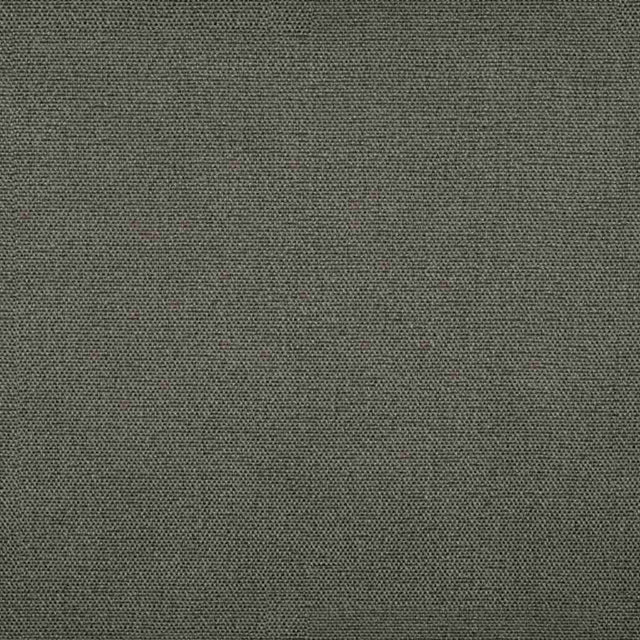 Sample of Tempotest Home Raffaello Charcoal 50965/8 Foundations Collection Upholstery Fabric