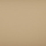 Sample of Tempotest Home Classic Biscotti 52/15 Foundations Collection Upholstery Fabric