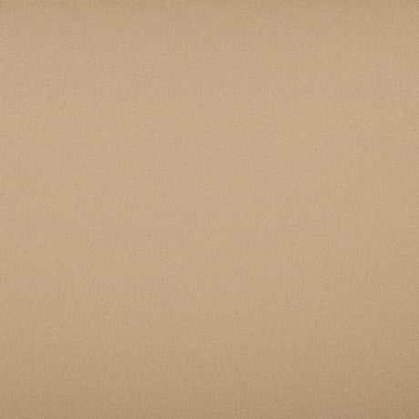 Sample of Tempotest Home Classic Biscotti 52/15 Foundations Collection Upholstery Fabric