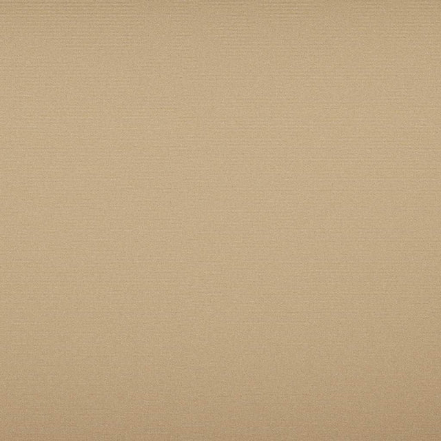 Sample of Tempotest Home Classic Biscotti 52/15 Foundations Collection Upholstery Fabric