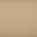 Tempotest Home Classic Biscotti 52/15 Foundations Collection Upholstery Fabric