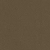 Top Gun 1S 4065 Hemp Beige 60-inch Marine Topping and Enclosure Fabric