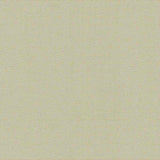 Top Gun 9 872 Birch 62-inch Marine Topping and Enclosure Fabric