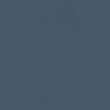 Enduratex Vaquero Blue Roan 1004 Upholstery Fabric