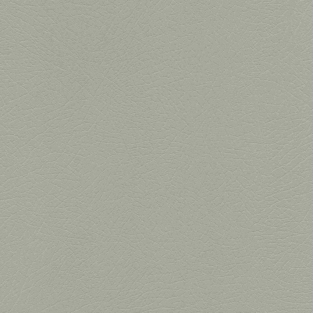 Sample of Enduratex Vaquero Concha 1012 Upholstery Fabric