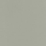 Sample of Enduratex Vaquero Concha 1012 Upholstery Fabric