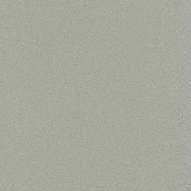 Sample of Enduratex Vaquero Concha 1012 Upholstery Fabric