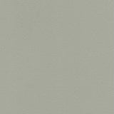 Enduratex Vaquero Concha 1012 Upholstery Fabric