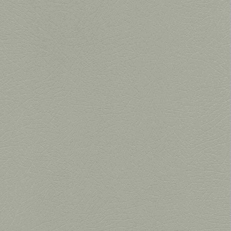 Enduratex Vaquero Concha 1012 Upholstery Fabric