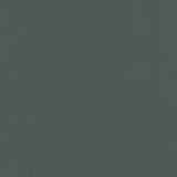 Sample of Enduratex Vaquero Hematite 1020 Upholstery Fabric