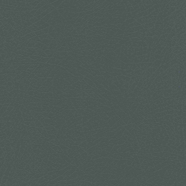 Enduratex Vaquero Hematite 1020 Upholstery Fabric