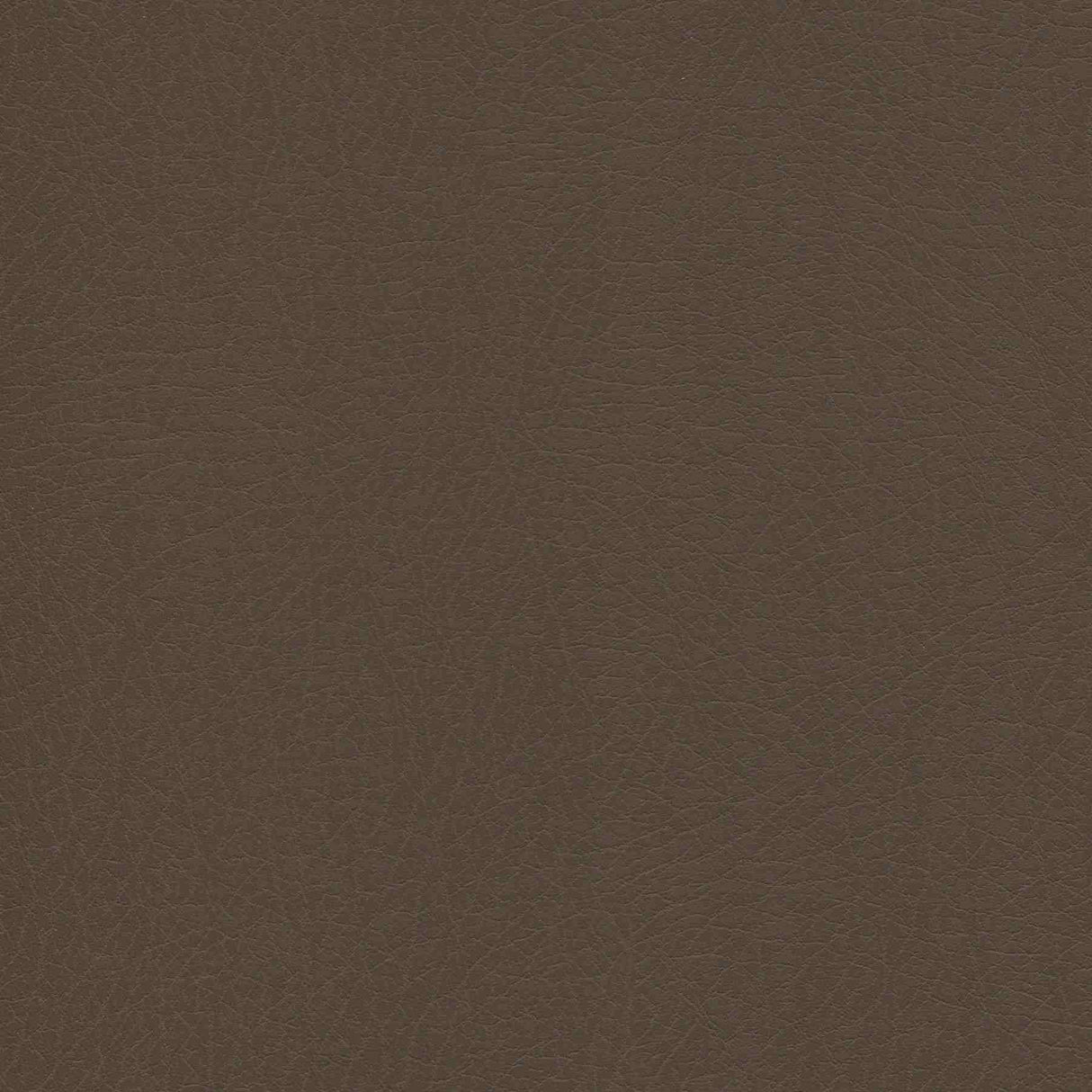 Sample of Enduratex Vaquero Jasper 1024 Upholstery Fabric