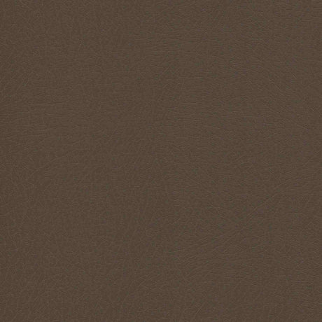 Sample of Enduratex Vaquero Jasper 1024 Upholstery Fabric