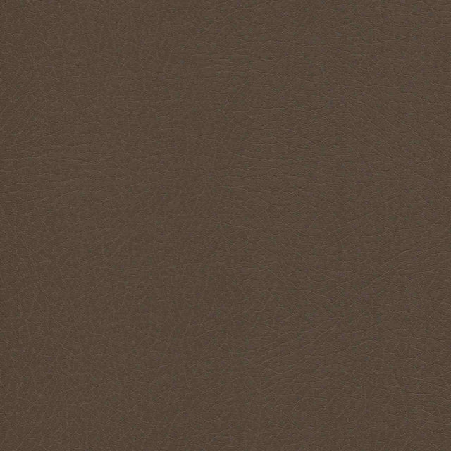 Enduratex Vaquero Jasper 1024 Upholstery Fabric