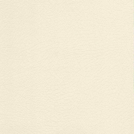 Sample of Enduratex Vaquero Lariat 1028 Upholstery Fabric