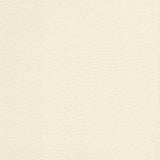 Enduratex Vaquero Lariat 1028 Upholstery Fabric