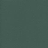 Sample of Enduratex Vaquero Mesquite 1032 Upholstery Fabric