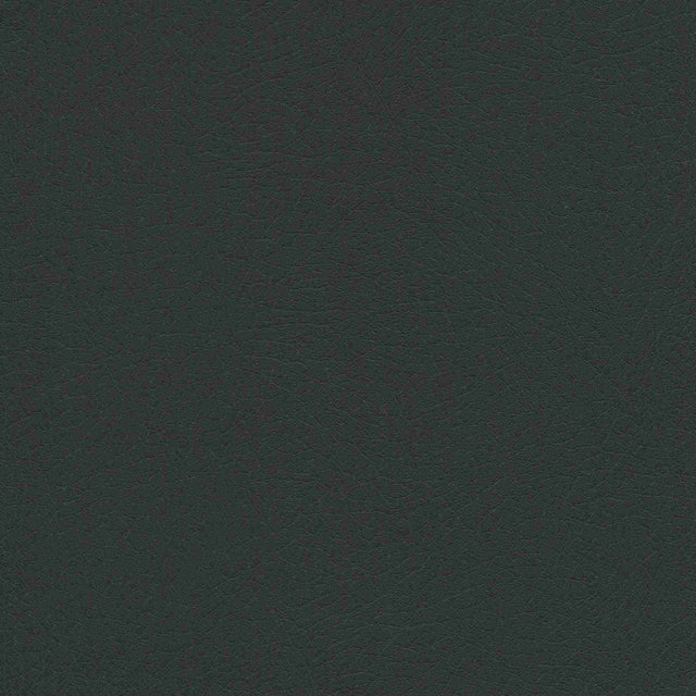 Sample of Enduratex Vaquero Night Rider 1036 Upholstery Fabric