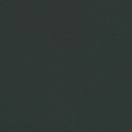 Enduratex Vaquero Night Rider 1036 Upholstery Fabric