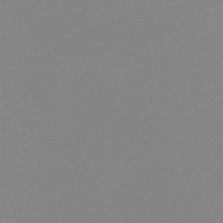 Enduratex Vaquero Pyrite 1040 Upholstery Fabric