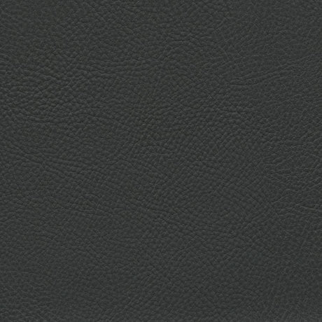 Sample of Enduratex Verona Charcoal Black 7482 Upholstery Fabric