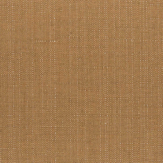 Sunbrella Willa Amber 146465-0029 Upholstery Fabric