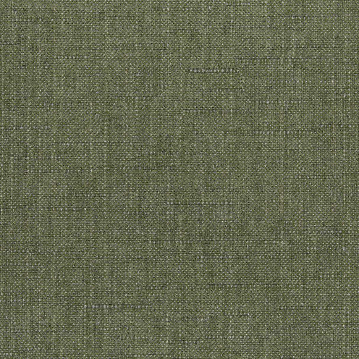 Sunbrella Willa Frond 146465-0035 Upholstery Fabric