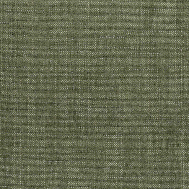 Sunbrella Willa Frond 146465-0035 Upholstery Fabric