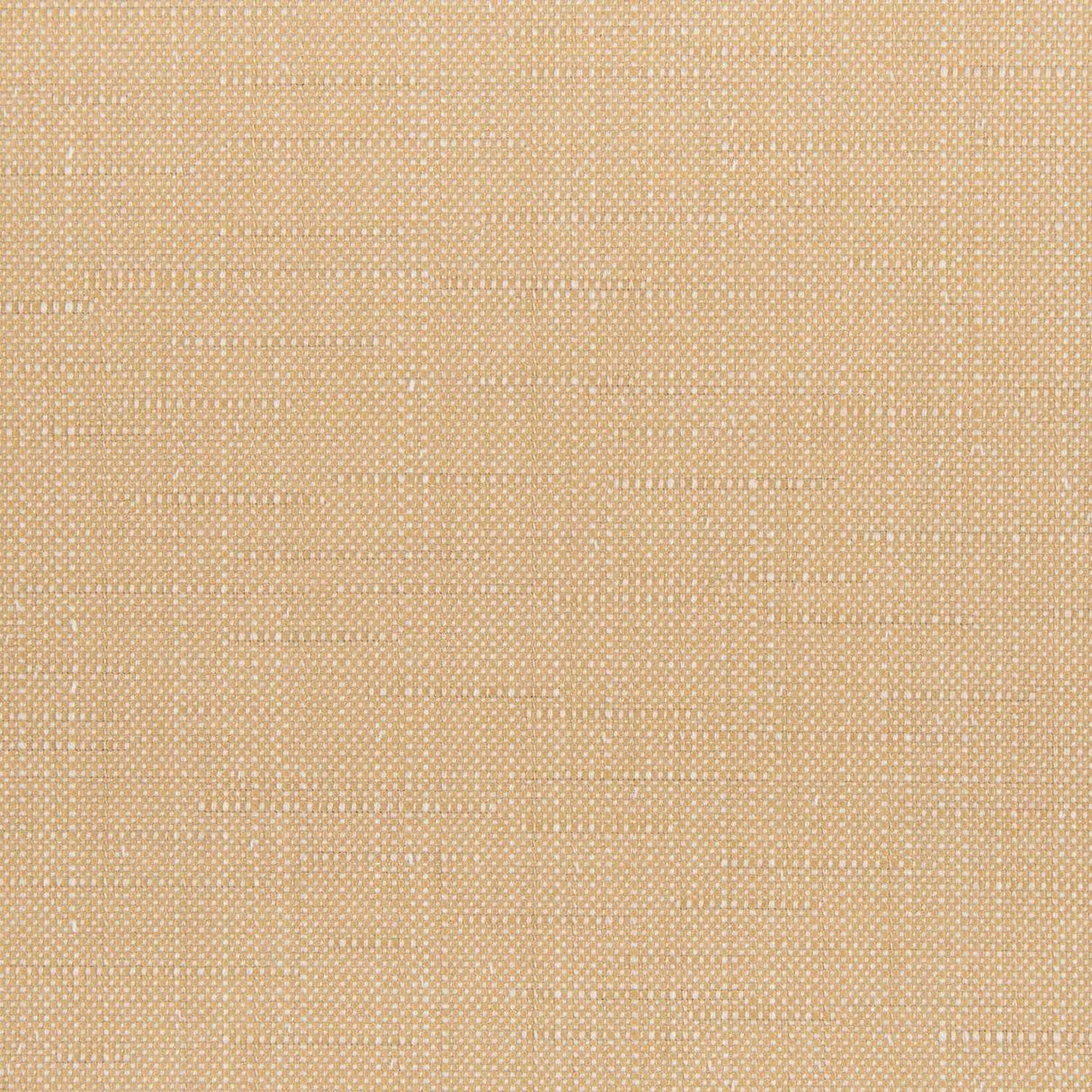 Sunbrella Willa Toast 146465-0028 Upholstery Fabric