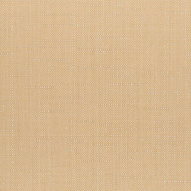 Sunbrella Willa Toast 146465-0028 Upholstery Fabric