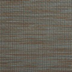 Phifertex Terrace Malachite LFR 54-inch Cane Wicker Collection Sling Upholstery Fabric