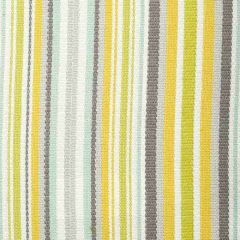 Bella Dura Baybreeze Keylime 29339C1-1 Upholstery Fabric