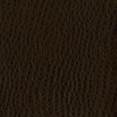 Nassimi Phoenix 004 Chocolate Chip Faux Leather Upholstery Fabric