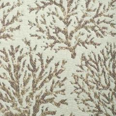 Bella Dura Coraline Driftwood 29304C2-10 Upholstery Fabric