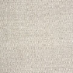 Sunbrella Idol Seagull 40487-0028 Upholstery Fabric