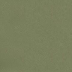 Olympus Boltasport Leaf OLY305 Multipurpose Upholstery Fabric