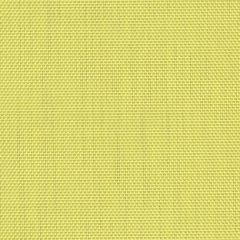 Phifertex Daffodil 720 54-Inch Resort Collection Sling Upholstery Fabric