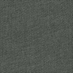 Tempotest Home Graphite 107/727 120-inch Etamine Collection Indoor - Outdoor Drapery Fabric