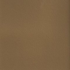 Olympus Desert OLY245ADF Multipurpose Upholstery Fabric