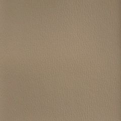 Olympus River Rock OLY240ADF Multipurpose Upholstery Fabric