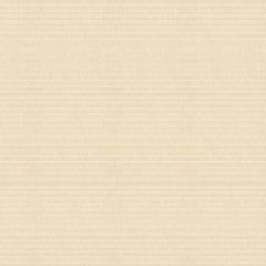 Tempotest Home Sand 15/1 120-inch Etamine Collection Indoor - Outdoor Drapery Fabric
